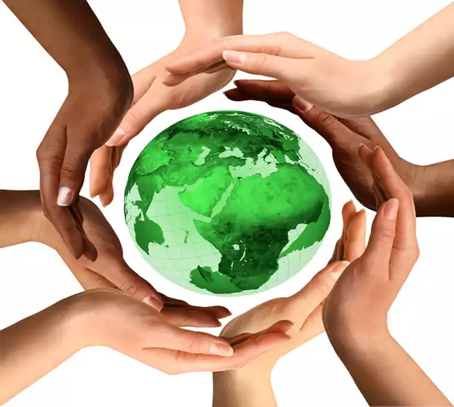 Un engagement pour la coopération et le développement durable TTF